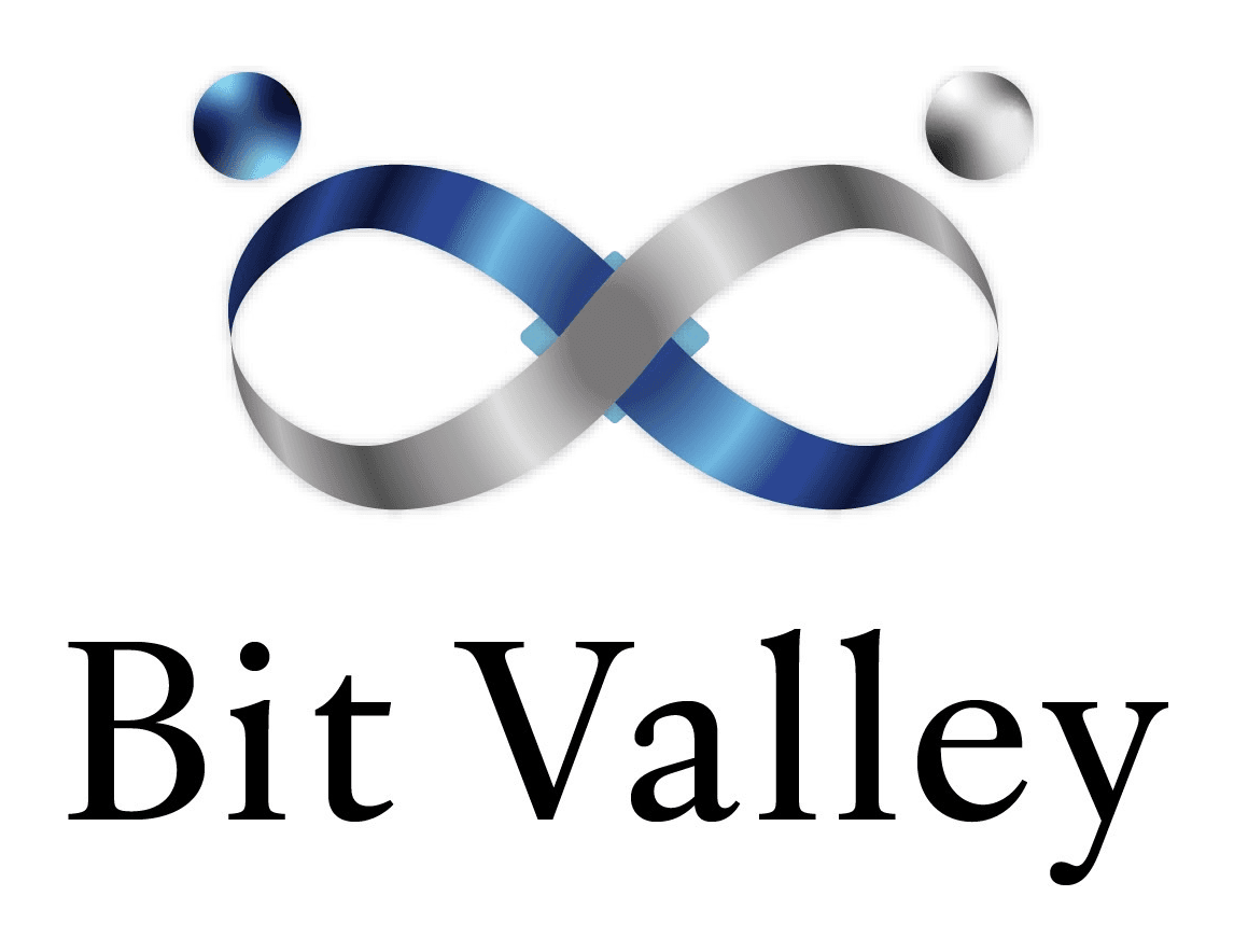 Bit Valley